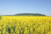 Iphofen und Schwanberg