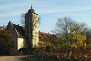 Mainschleife